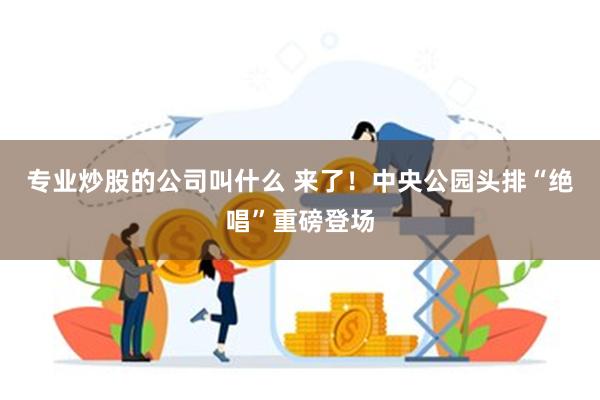 专业炒股的公司叫什么 来了！中央公园头排“绝唱”重磅登场