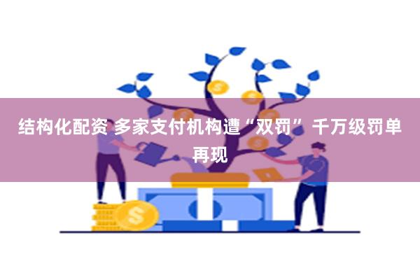 结构化配资 多家支付机构遭“双罚” 千万级罚单再现