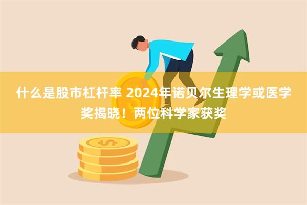 什么是股市杠杆率 2024年诺贝尔生理学或医学奖揭晓！两位科学家获奖