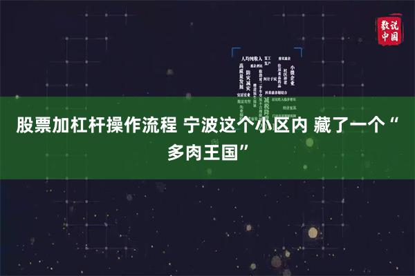 股票加杠杆操作流程 宁波这个小区内 藏了一个“多肉王国”