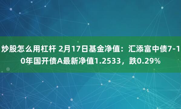 炒股怎么用杠杆 2月17日基金净值：汇添富中债7-10年国开债A最新净值1.2533，跌0.29%