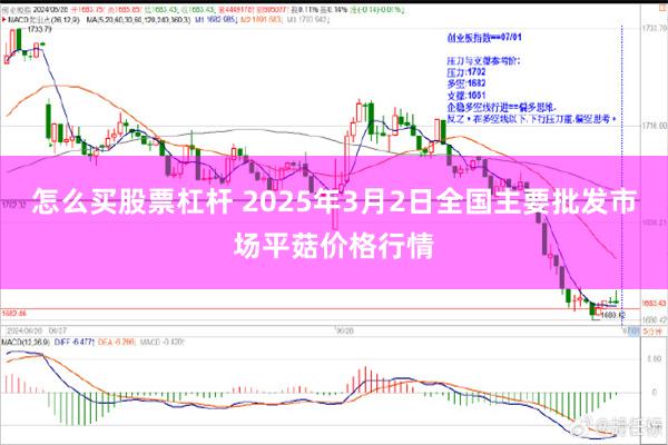 怎么买股票杠杆 2025年3月2日全国主要批发市场平菇价格行情